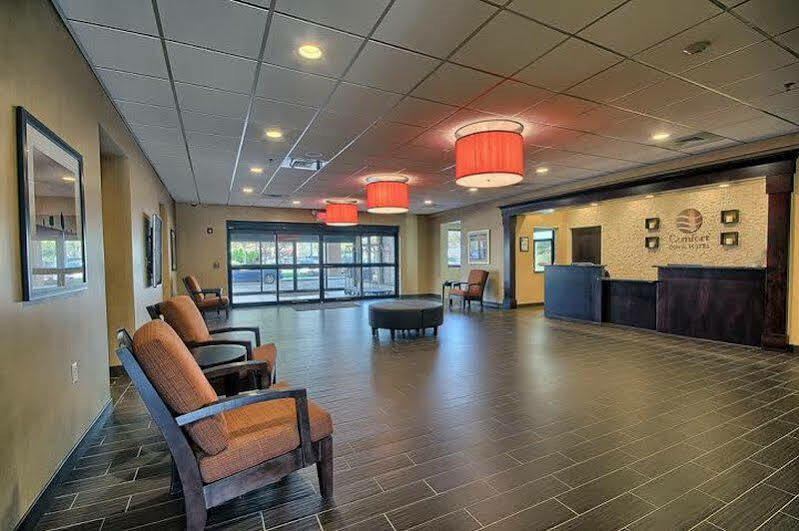 Comfort Inn & Suites Wadsworth Екстериор снимка